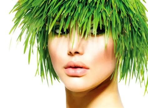 Vegetable Hair Dye Safe Best Brands For Eyebrows Pregnancy Grey Coverage And Cancer Patients