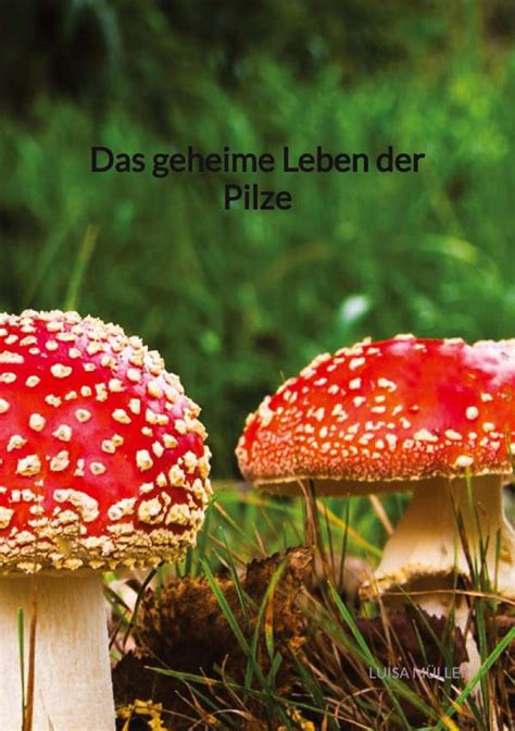 Das geheime Leben der Pilze Luisa Müller Buch jpc