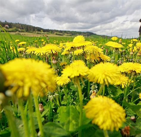 Aprilwetter Mit Regen Graupel Und Sonnenschein Welt