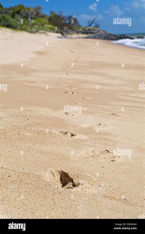 Footprints At The Beach Hi Res Stock Photography And Images Alamy