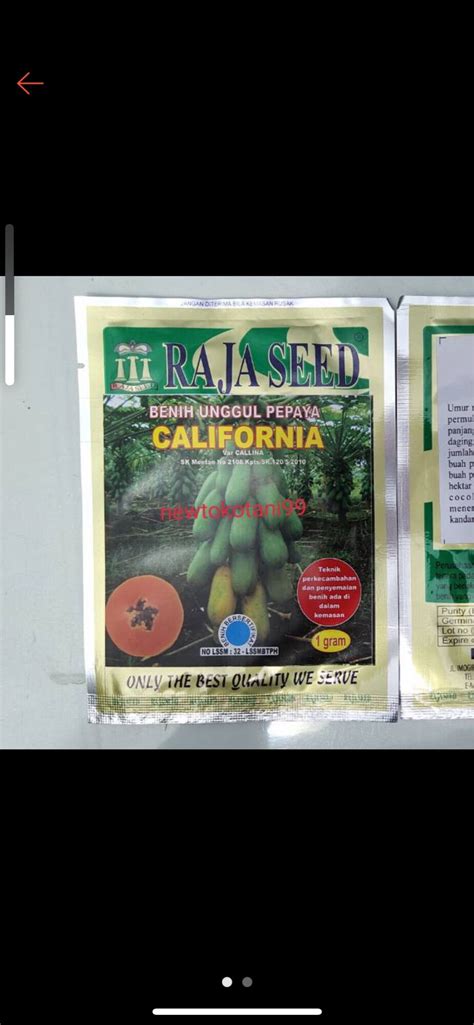 Benih Pepaya CALIFORNIA RAJA SEED 1gram Bibit Buah Lazada Indonesia