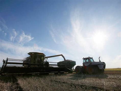 Alberta farming conditions significantly better after dry 2021 season ...