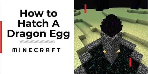 How To Hatch A Dragon Egg In Minecraft Complete Guide Gamegrinds