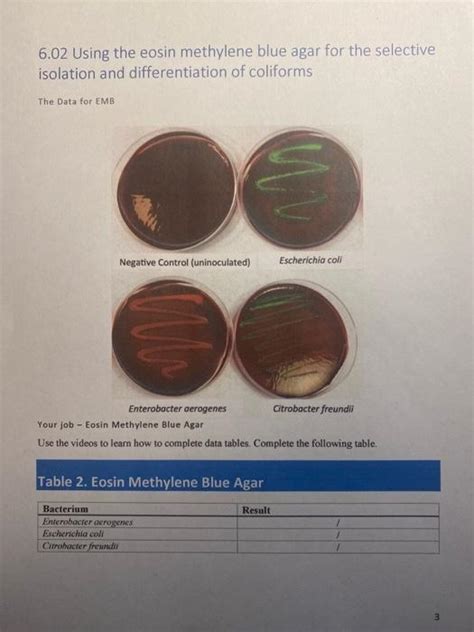 Eosin Methylene Blue Agar Test Wholesale Coupons | www.pinnaxis.com