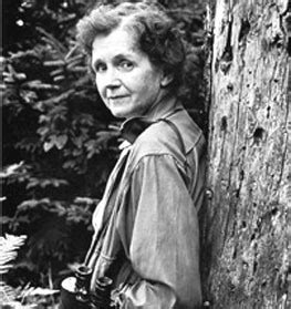 Rachel Carson Quotes, Famous Quotes by Rachel Carson | Quoteswave