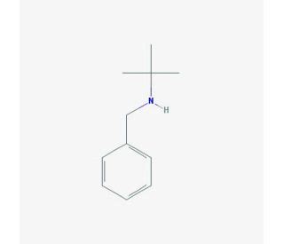 N Benzyl Tert Butylamine Cas Scbt Santa Cruz Biotechnology