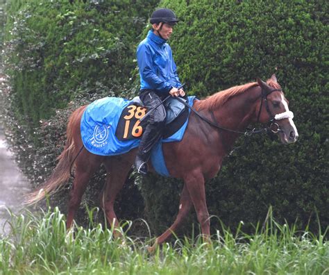 【新馬戦】良血レイニング 快足武器にv発進狙う 国枝師「スピード色が強いね」 競馬ニュース Netkeiba