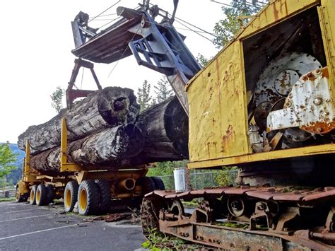 Autoritățile din Bistrița Năsăud sunt permisive cu transportatorii de