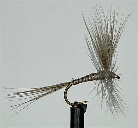 Quill Gordon Classic Fly Tying