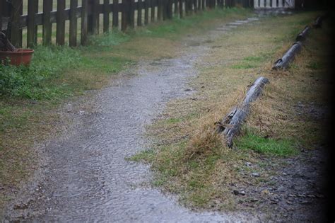 予報通りの雨です｜宮崎のドッグランはdogrun Sol