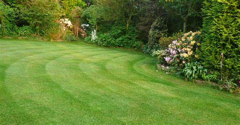 autumn lawn care bents blog