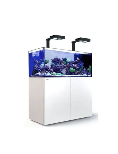 Red Sea Reefer Peninsula Deluxe P500 White 2 Reefled 160s And