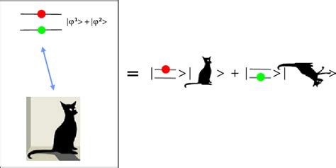 Illustration Of The Schr Dinger S Cat Paradox An Atom A Bottle