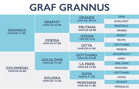 Graf Grannus – The Horse Magazine