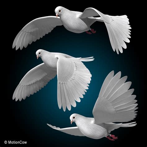 3ds max realistic flying dove