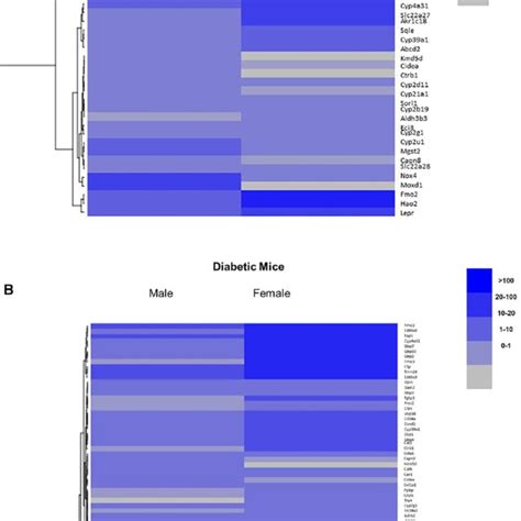 Heatmaps Of Hepatic Gene Expression For The Sex Differences Top