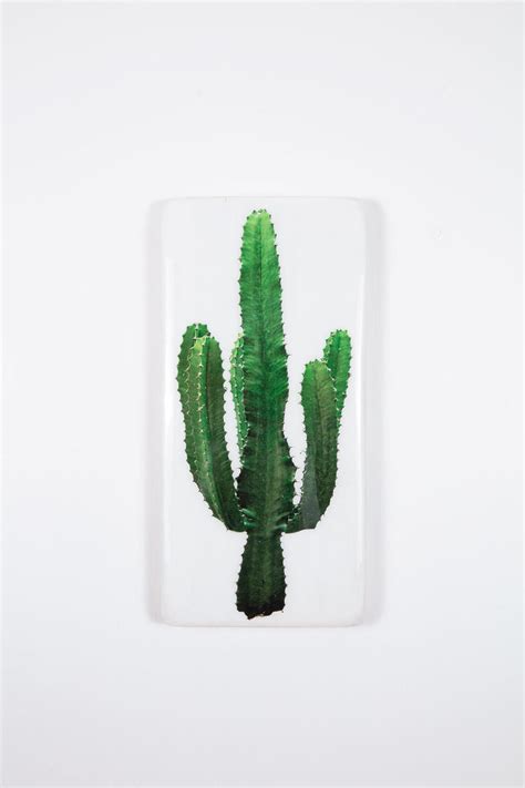 Cactus (20cm x 40cm) – Stigerwoods