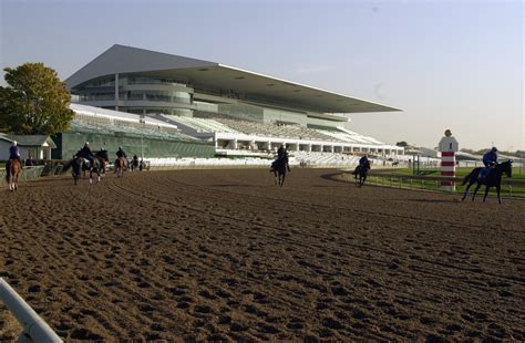 Bears begin demolition of Arlington Park racetrack