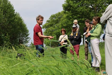 Wildplukgids Gydo Over Wildplukken Terugblik Wandeling Buijtenland