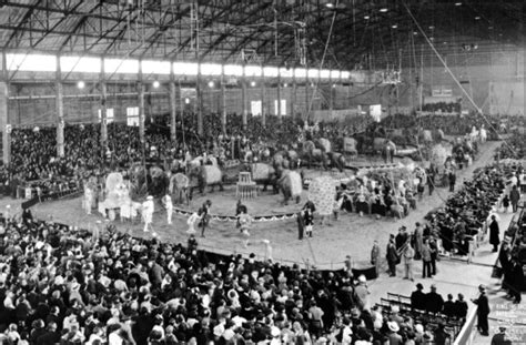 Through The Years Ringling Bros And Barnum And Bailey Circus