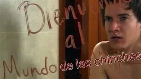 Chinches En La Cdmx Infestan Las Redes Con Memes