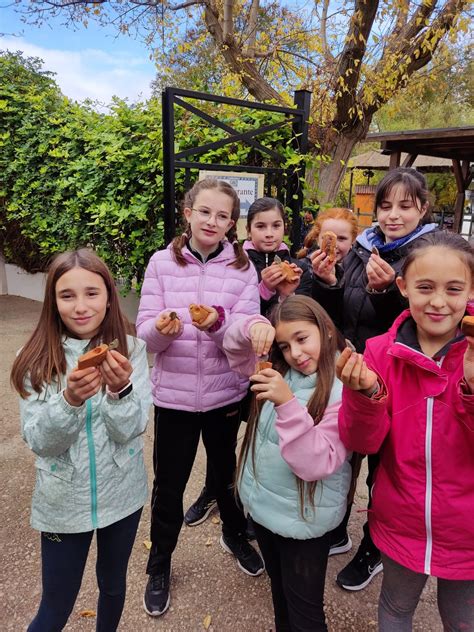 Visita Cueva De Las Ventanas Ceip Reina Isabel