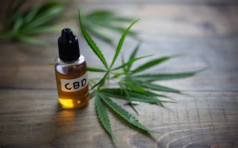 CBD Öl Wirkung Anwendung Inhaltsstoffe Konzentration alle