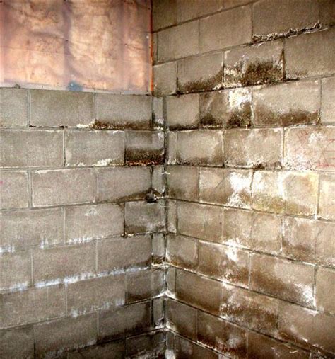 How To Fix A Wet Basement Pioneer Basement Solutions