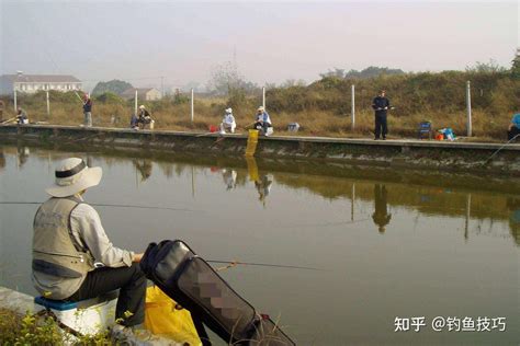 钓鱼小药的主要作用是什么？怎样才能用好钓鱼小药？钓鱼小药用法 知乎