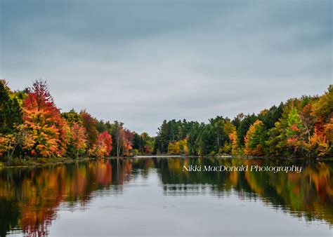 Stunning Fall Colors in Upstate New York