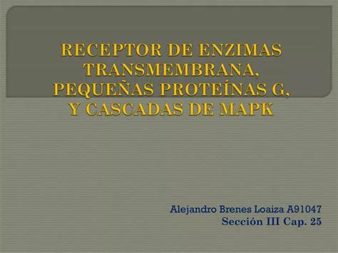 PPT RECEPTOR DE ENZIMAS TRANSMEMBRANA PEQUEÑAS PROTEÍNAS G Y