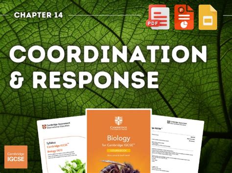 Cambridge Igcse Biology Chapter Coordination And Response