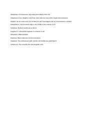 Bio Unit Assessment Docx Metaphase Chromosomes Align Along