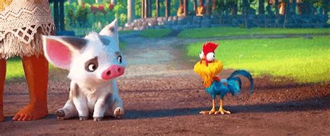 Heihei Moana GIF - Heihei Moana Gb - Discover & Share GIFs