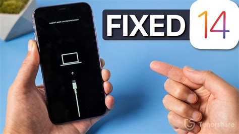 Iphone Froze During Update An Ultimate Guide To The Issue Iphone