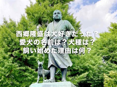 西郷隆盛の年表を簡単に解説！どんな人？功績は？何をした人？完全版まとめ Histonary 楽しくわかる歴史の話