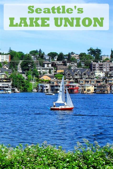 Seattle's Lake Union | Lake union, Lake, Recreational activities