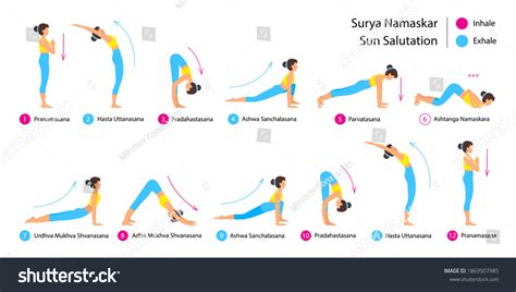 Surya Namaskar Sun Salutation Yoga Asanas Stock Vector (Royalty Free ...