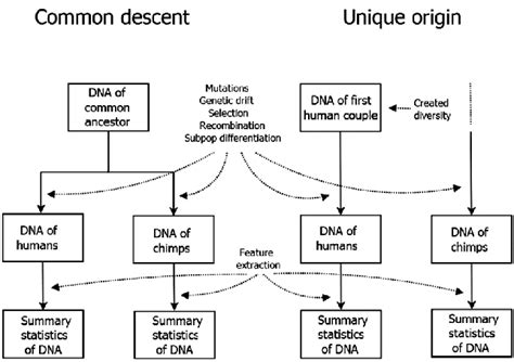 Illustration Of The Two Competing Models Of Human History Common