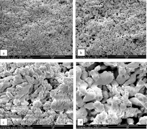 Sem Image Of Cao Produced By Calcination Of Eggshell At 900 °c A 100