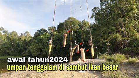 Di Awal Tahun Umpan Tenggelam Di Sambar Ikan Besar Youtube