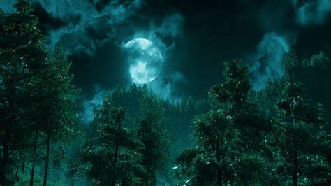 Moonlight Forest Background