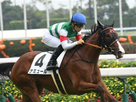 【メイクデビュー中京4rレース後コメント】ナミュール川田将雅騎手ら 競馬ニュース Netkeiba