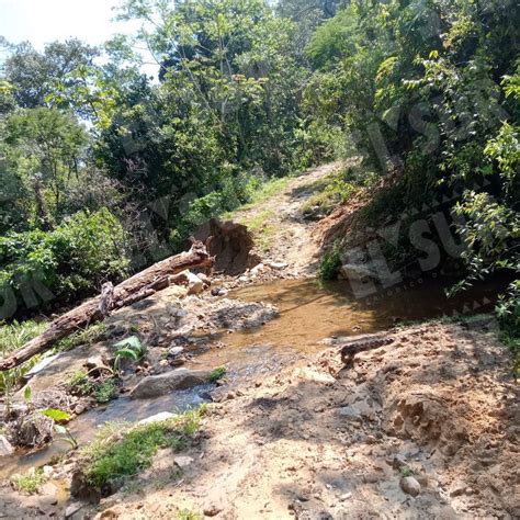 Urgen Vecinos De Comunidad Serrana De Atoyac Restablecer Vialidad