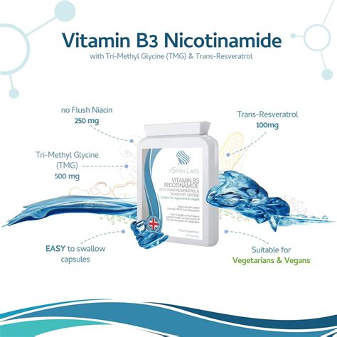 High Strength Vitamin B3 Nicotinamide With Trans Resveratrol And Tmg Supports Nervous System