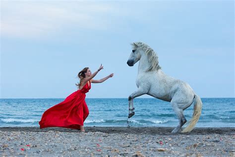 Andalusian Horse, Equus, Tui, Beautiful Horses, Teresa, Best Friends ...
