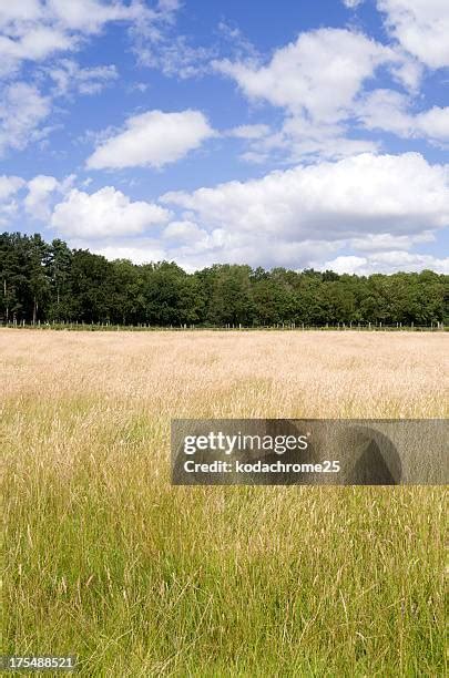 Generic Farm Photos And Premium High Res Pictures Getty Images