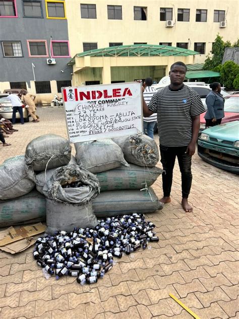 Ndlea Seizes Illicit Drug Consignment At Mmia Intercepts Pregnant