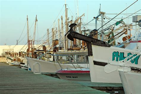 Sittin By The Dock Of The Bay Free Photo Download Freeimages