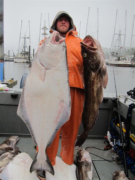 Todds Extreme Fishing Neah Bay Halibut Lingcod